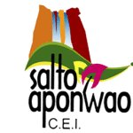salto-aponwao